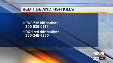 Reporting red tide and fish kills