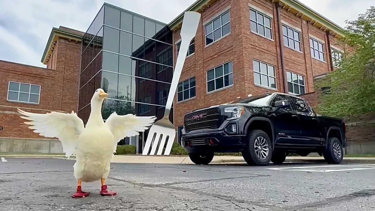 I took my duck to the World’s Largest Fork