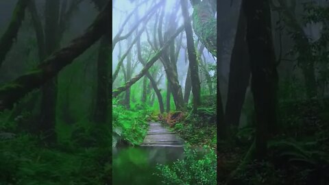 A Very Good Morning! #Livesty #Shorts #ytshorts #youtubeshorts #Luxury #Nature #viral #viral2022