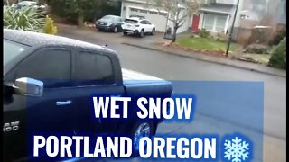 WET SNOW PORTLAND OREGON ❄️