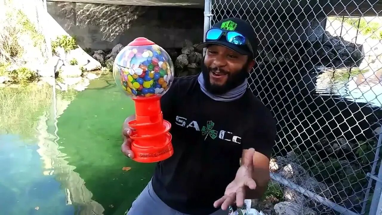 WORLD'S FIRST Gumball Machine AQUARIUM!