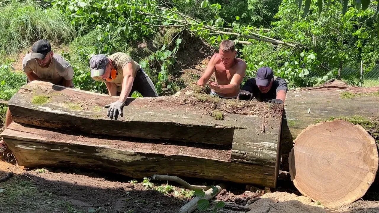 Abandoned Oak Log and Amazing Chainsaw Mill