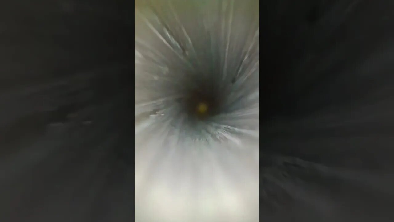 Inside the Barrel