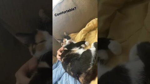 She’s ALWAYS gotta be touching my face
