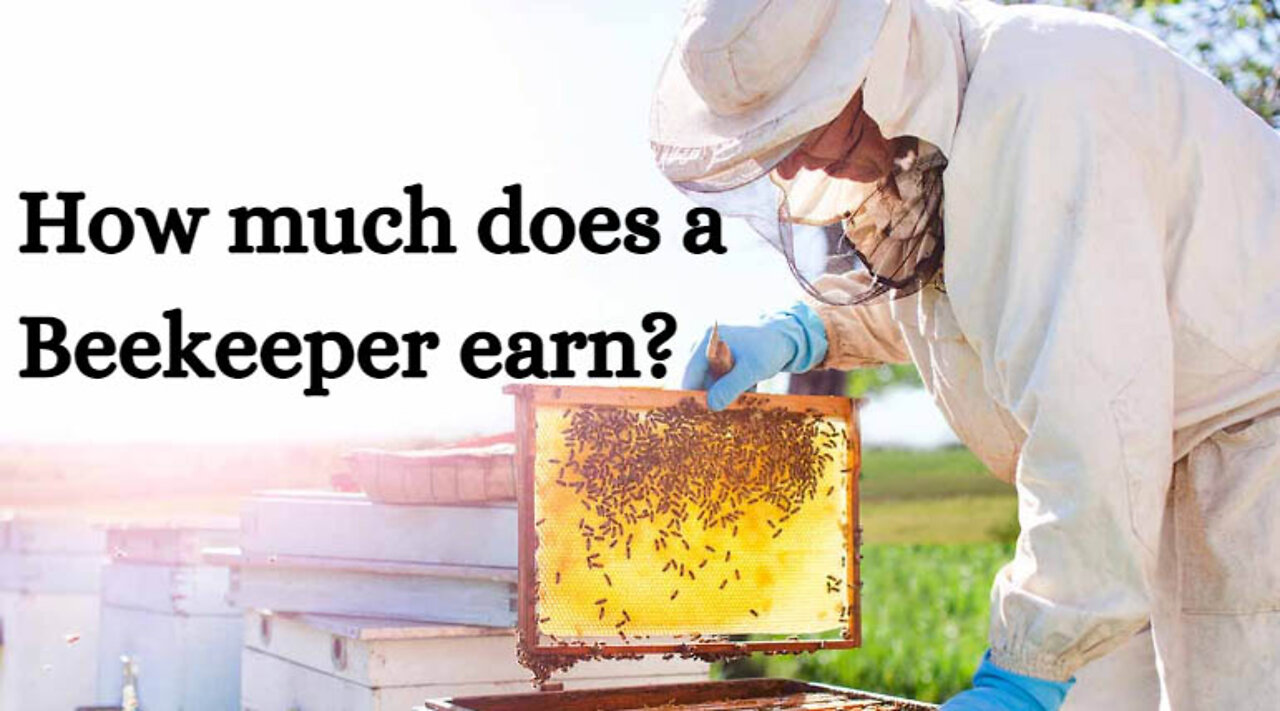 Beekeeper Salary