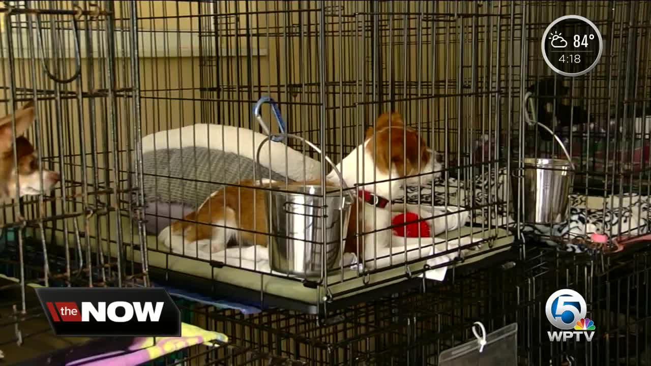 Local group taking in animals from areas impacted by Florence