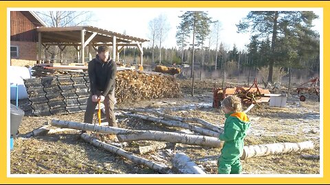 Harvesting All Our Firewood in a Couple Hours