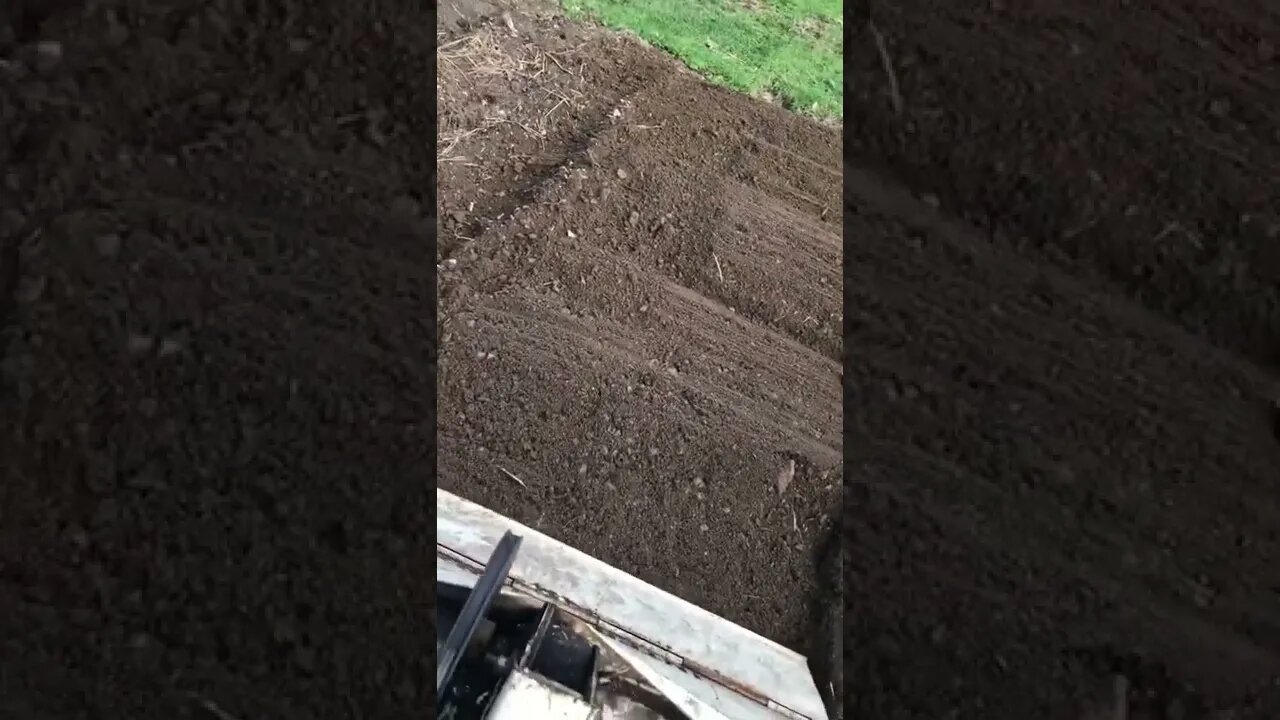 Perfectly tilled garden