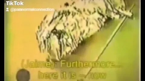 The Alien that Dr. Johnathan Reed discovered