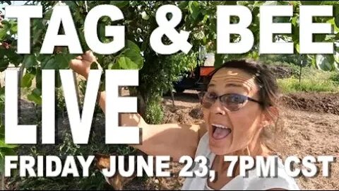 FRIDAY LIVE with TAG & BEE