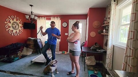 Tunie's Transformation! 3rd lesson with English Bulldog and her owner