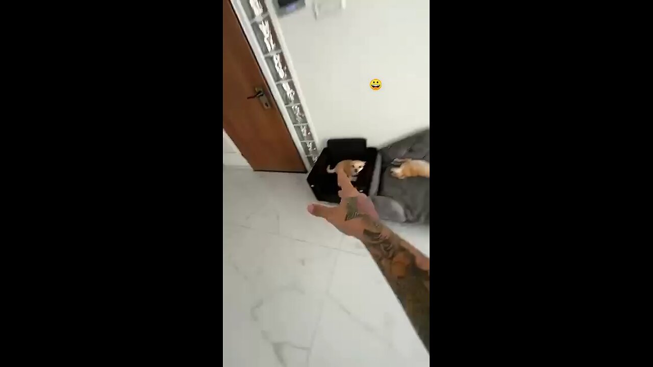 Funny