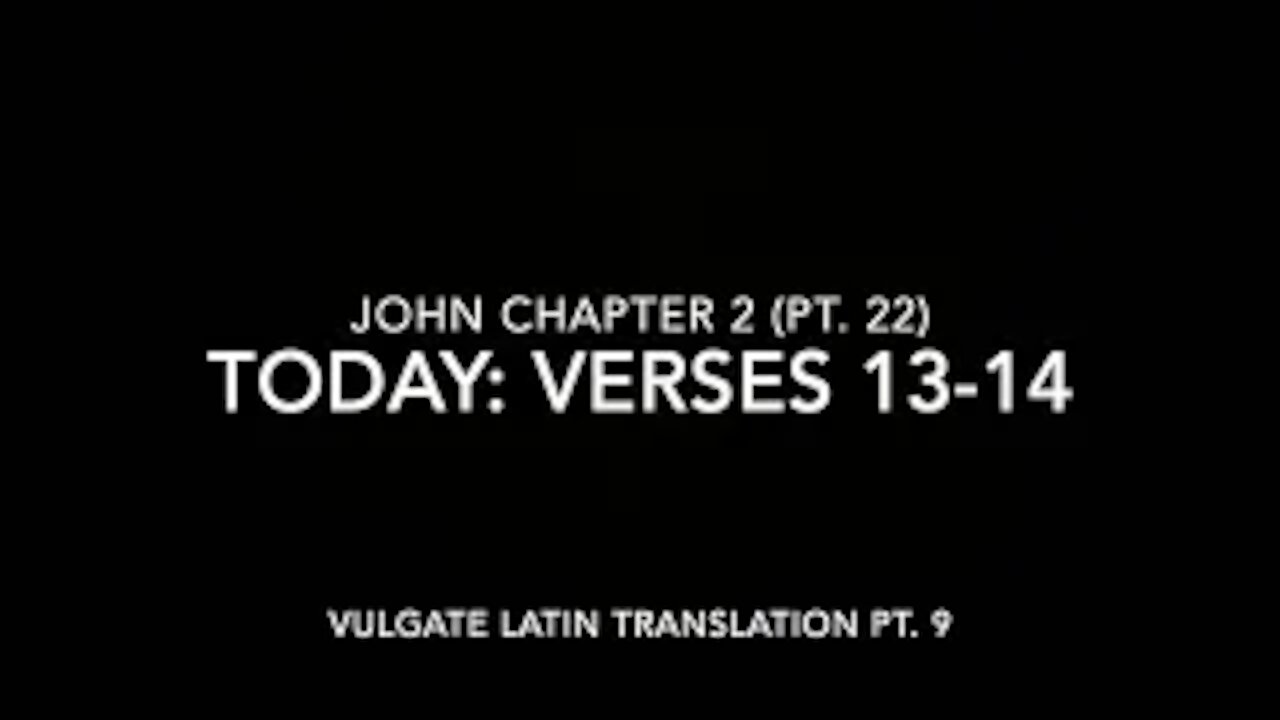 John Ch 2 Pt 22 Verses 13–14 (Vulgate 9)
