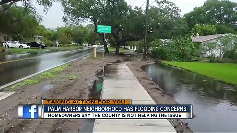 Flooding frustrating neighbors in Palm Harbor