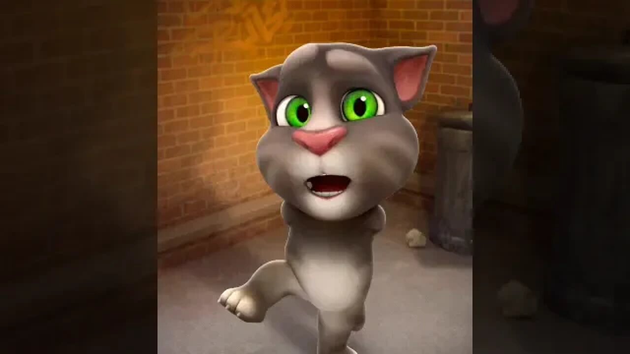 Talking Tom Cat Funny Video