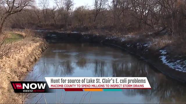 Hunt for source of Lake St. Clair's E. coli problems