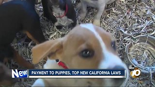 New California Laws 2019