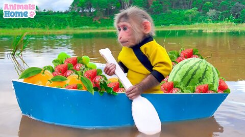 funny video