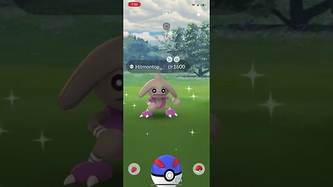 Shiny Compilation