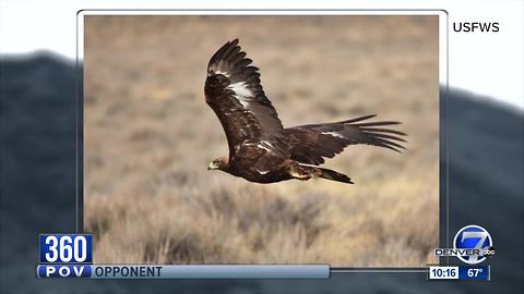 Debate over recreation vs. preservation as trail moves ahead near golden eagle nest