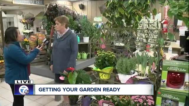 Need a gift for mother's day? Plants!