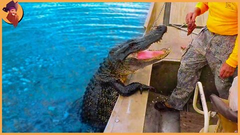 15 Dangerous Animals Caught Trying To Be Friendly