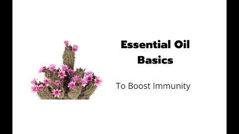 Essential Oil Basics for immune support