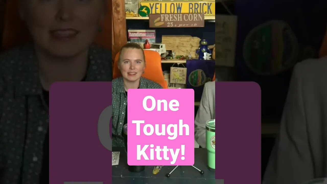 This Cat 🐈 is a Survivor!