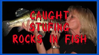 CAUGHT: Pros Stuffing Rocks In Fish (PENALIZED)