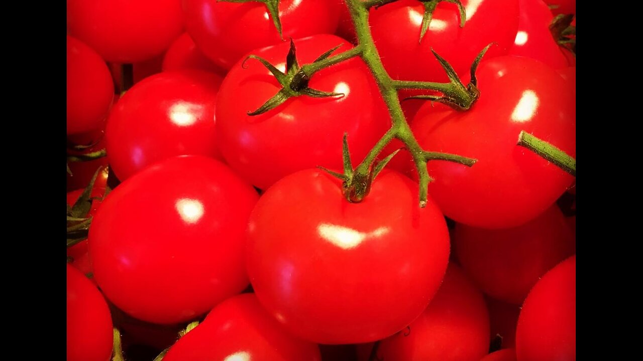 Groovy Tomato's