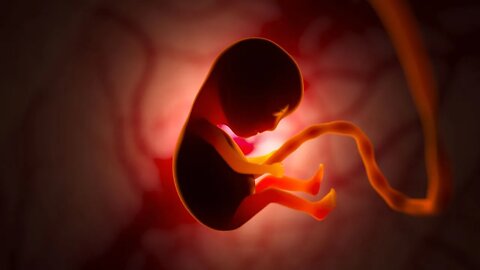 STOP MAKING BABIES IF YOU ARE NOT GOING TO RAISE THEM