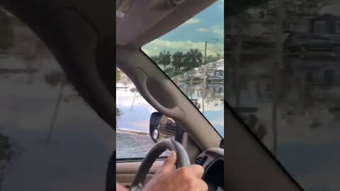 The pond is now in the PARKING LOT! 🫣😱 #shorts