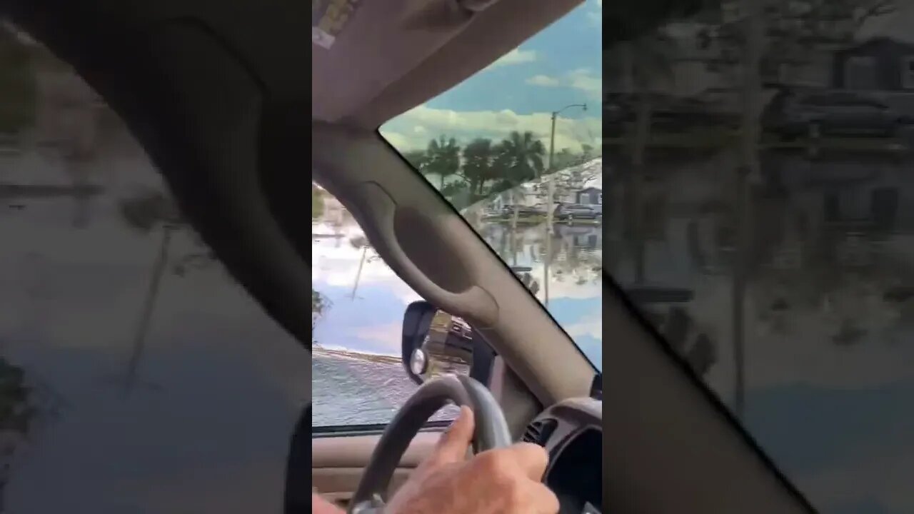 The pond is now in the PARKING LOT! 🫣😱 #shorts