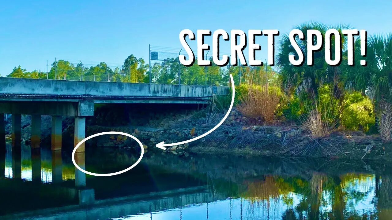 Fishing at a SECRET HIDDEN SPOT at a Roadside Bridge!