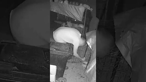 Lucky find. Baby chick was lost and we found it on farm cams and put it back with mother hen