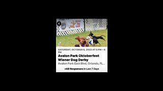 10-8-22 Avalon Park Florida