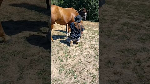 COWBOY