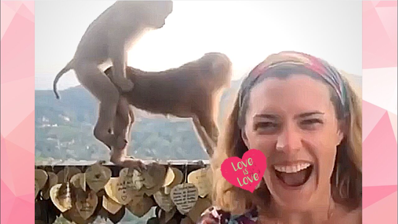 Amazing Love and Funny Moment in The Zoo