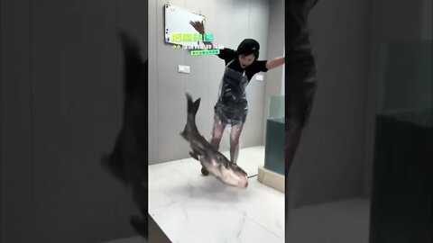 Beautiful Chinese Girl Working At A fish Market Falls To The Floor