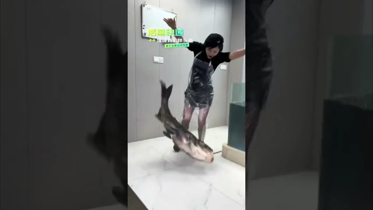 Beautiful Chinese Girl Working At A fish Market Falls To The Floor