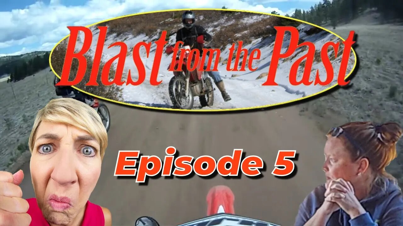 Blast from the Past - Episode 5 - Service Animal's, Karen's, and opinions!