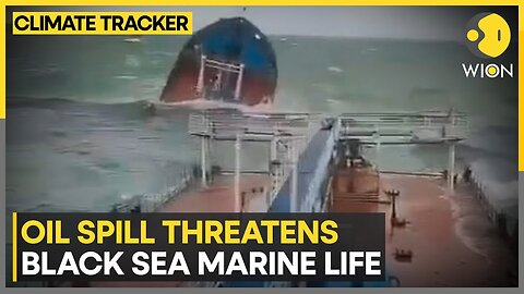Russian Tankers Sink In Black Sea, Trigger Environmental Disaster | WION Climate Tracker