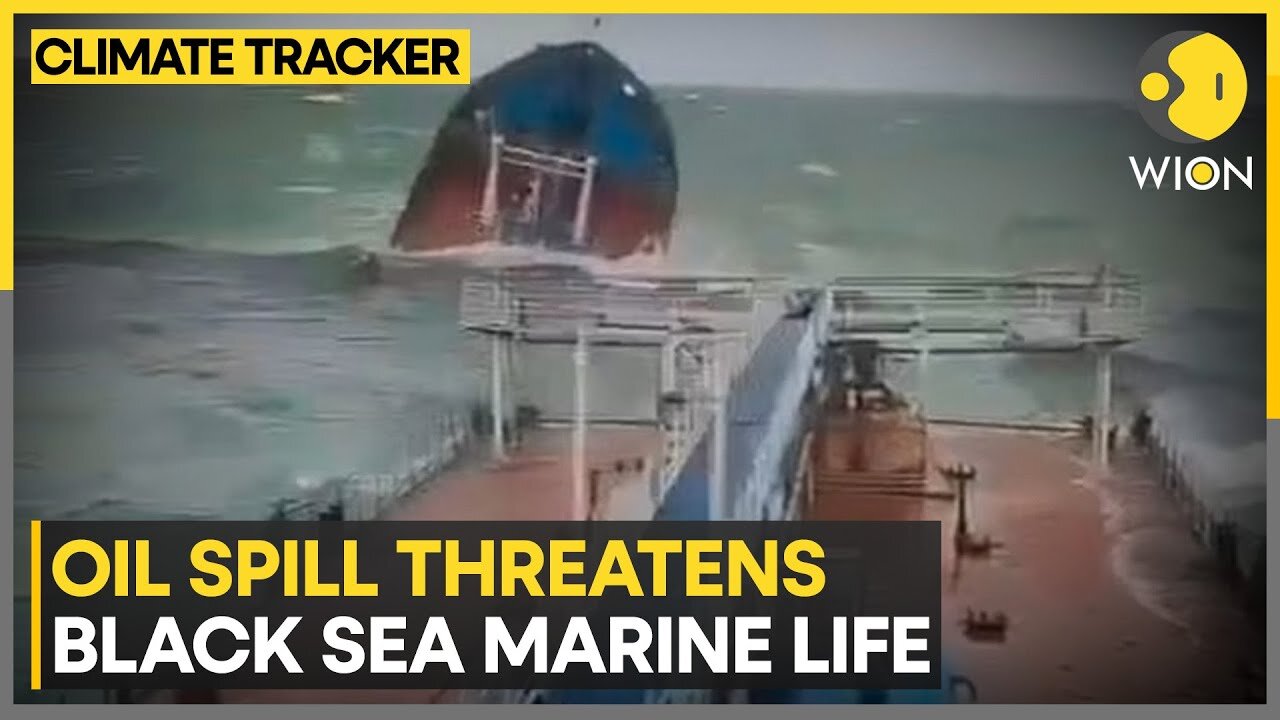Russian Tankers Sink In Black Sea, Trigger Environmental Disaster | WION Climate Tracker