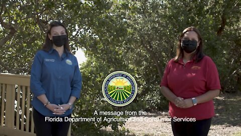 Bilingual COVID vaccine information for farmworkers