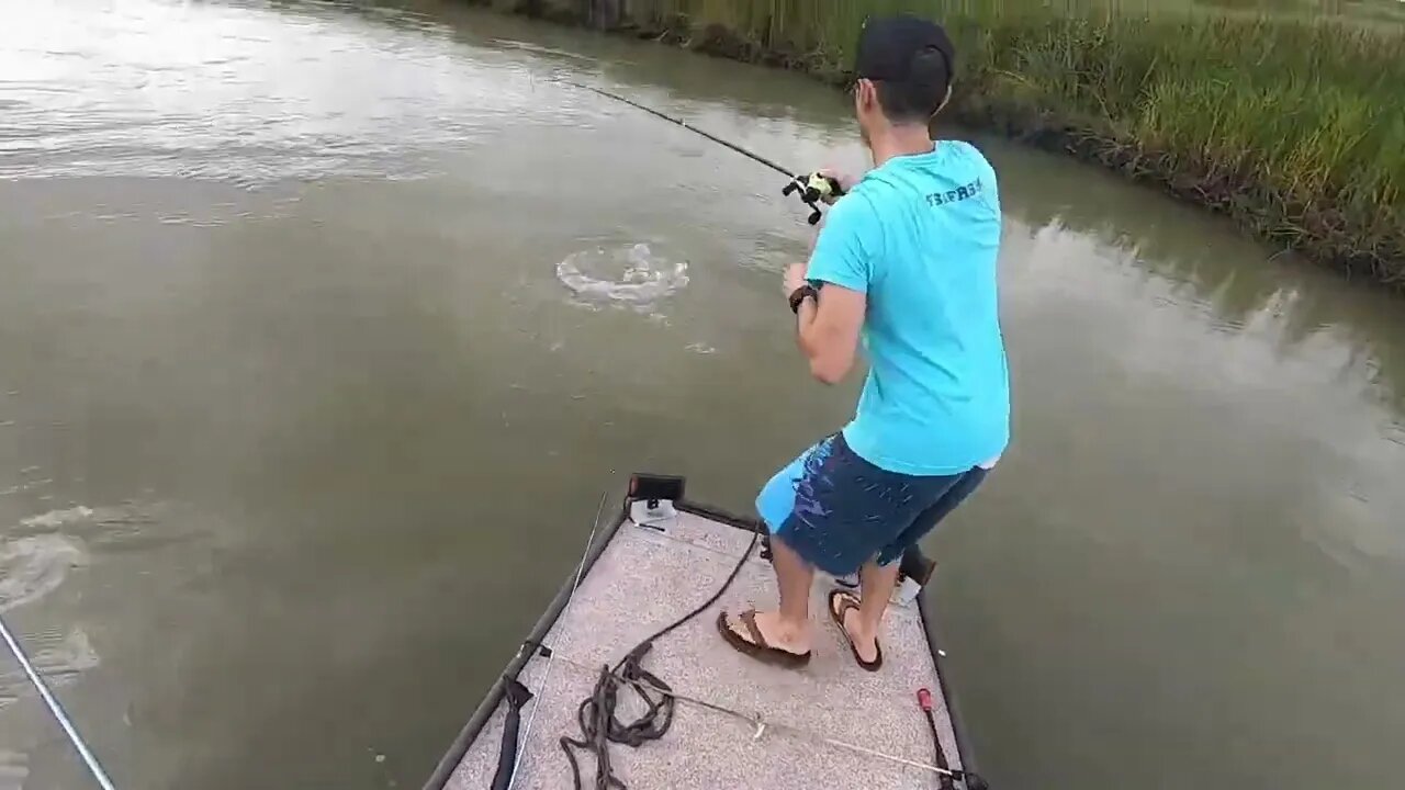 90 POUND MONSTER caught on a SWIMBAIT!! (INTENSE)-5
