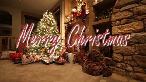 Merry Christmas Greeting Card #1
