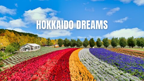 Hokkaido Dreams #urban #music #adventure #travelmusic #hokkaido #hokkaidotrip