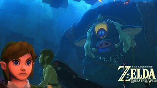 Beginning of Torture!!: The Legend of Zelda Breath of the Wild