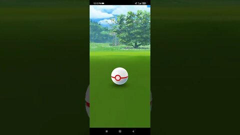 Pokémon GO-Shadow Poochyena