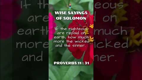 Wise Sayings of Solomon | Proverbs 11:31